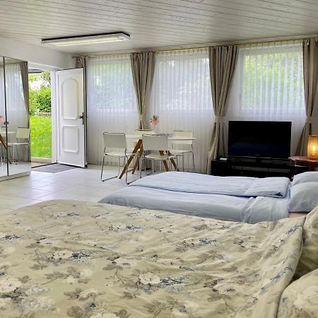 Studio In Stadtnaehe Zuerich Mit Guter Verkehrsanbindung Adliswil Dış mekan fotoğraf