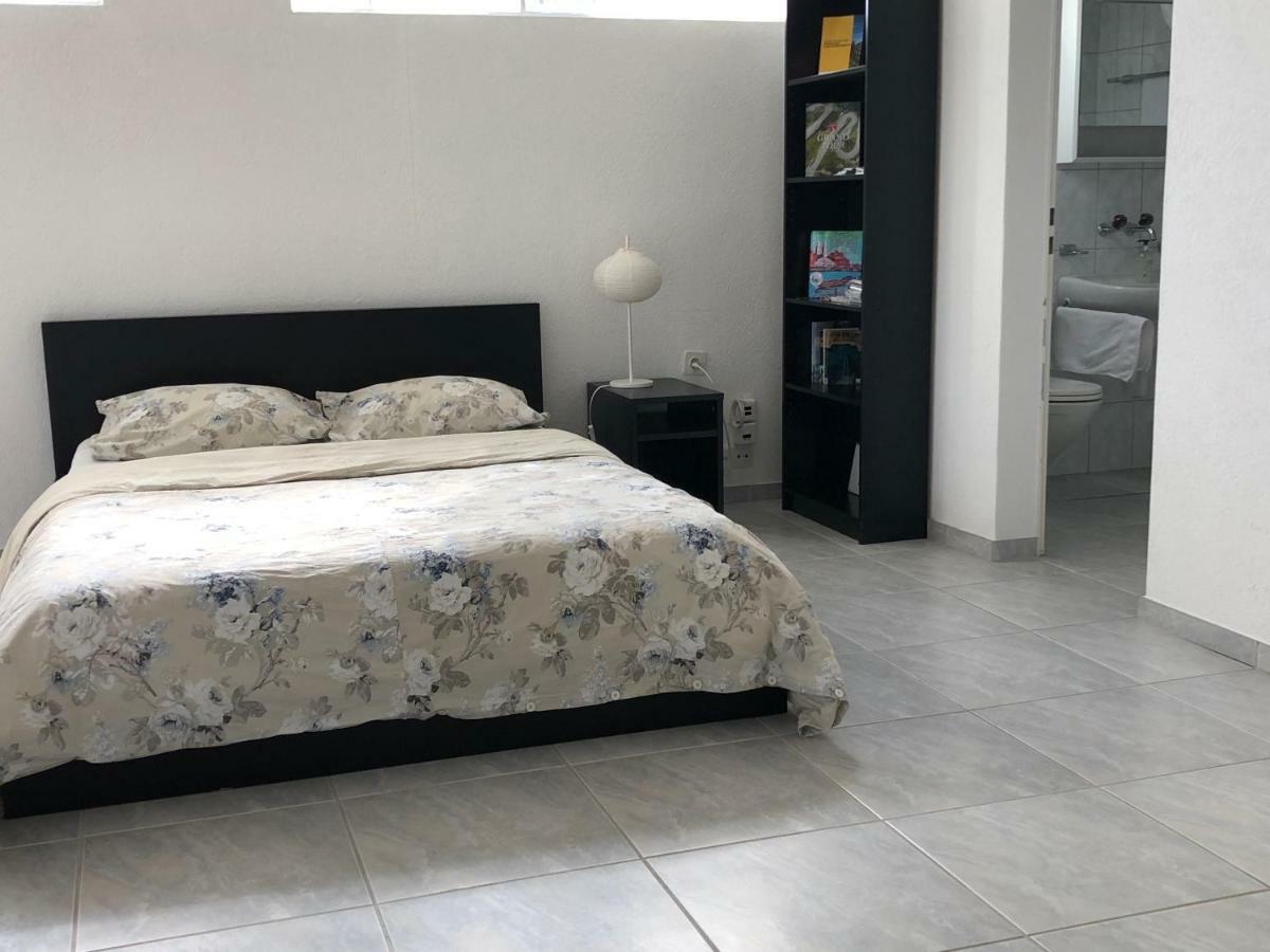 Studio In Stadtnaehe Zuerich Mit Guter Verkehrsanbindung Adliswil Dış mekan fotoğraf